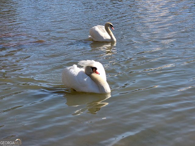 567 Lillian Way, Jefferson, GA 30549