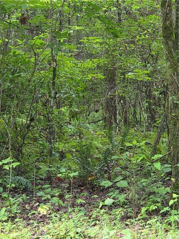 00 Chopped Oak Road, Ellijay, GA 30540