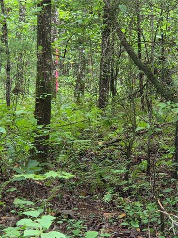 00 Chopped Oak Road, Ellijay, GA 30540