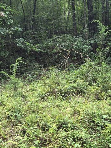 00 Chopped Oak Road, Ellijay, GA 30540
