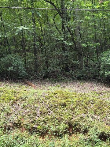 00 Chopped Oak Road, Ellijay, GA 30540