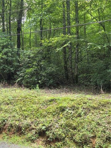 00 Chopped Oak Road, Ellijay, GA 30540