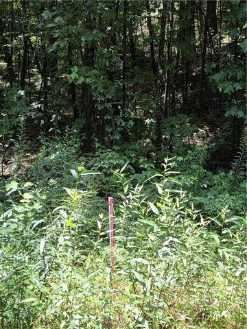 00 Chopped Oak Road, Ellijay, GA 30540