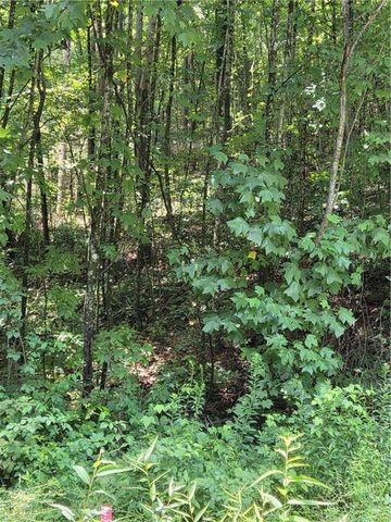 00 Chopped Oak Road, Ellijay, GA 30540