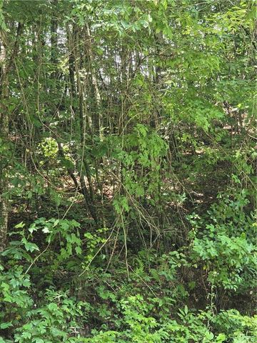 00 Chopped Oak Road, Ellijay, GA 30540