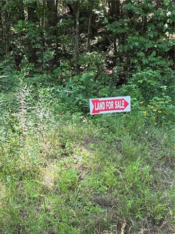 00 Chopped Oak Road, Ellijay, GA 30540