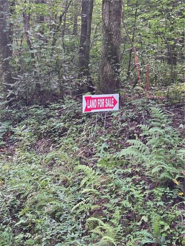 00 Chopped Oak Road, Ellijay, GA 30540