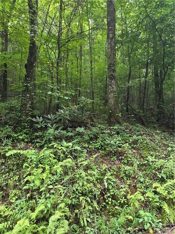 00 Chopped Oak Road, Ellijay, GA 30540