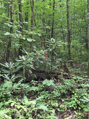 00 Chopped Oak Road, Ellijay, GA 30540