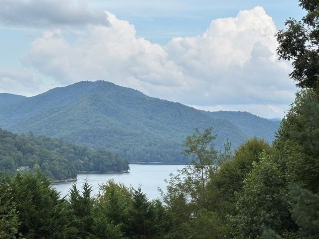 769 Indian Lake Road, Topton, NC 28781