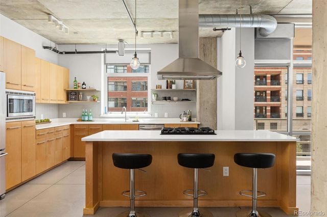 1610 Little Raven Street 306, Denver, CO 80202