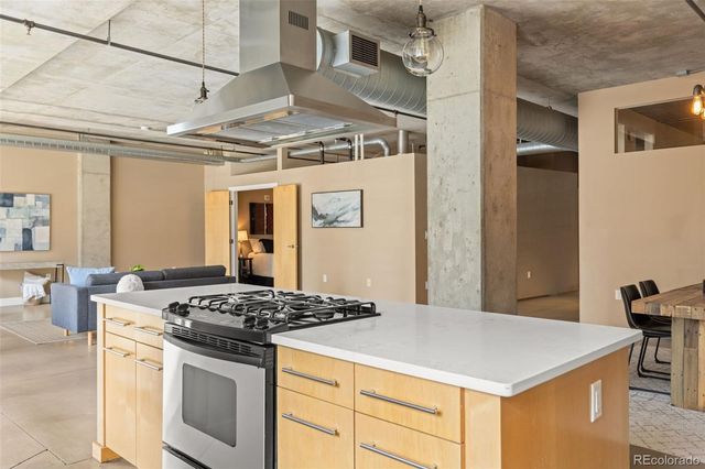 1610 Little Raven Street 306, Denver, CO 80202