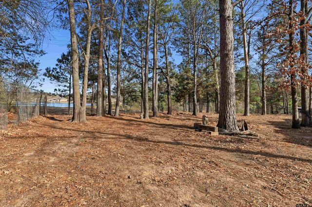 700 Greenville Hwy, Mineola, TX 75773