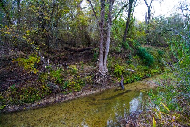 124 Summerall Lane, Red Oak, TX 75125