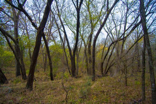 124 Summerall Lane, Red Oak, TX 75125