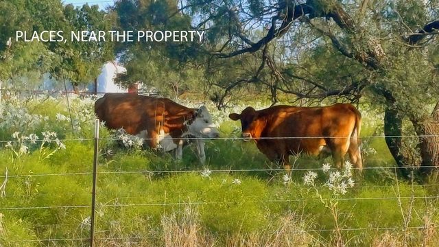 124 Summerall Lane, Red Oak, TX 75125