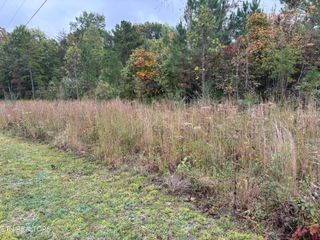 Everett Lane, Robbins, TN 37852