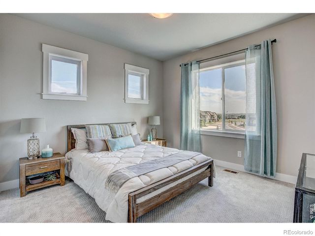 6226 Vernazza Way 4, Windsor, CO 80550