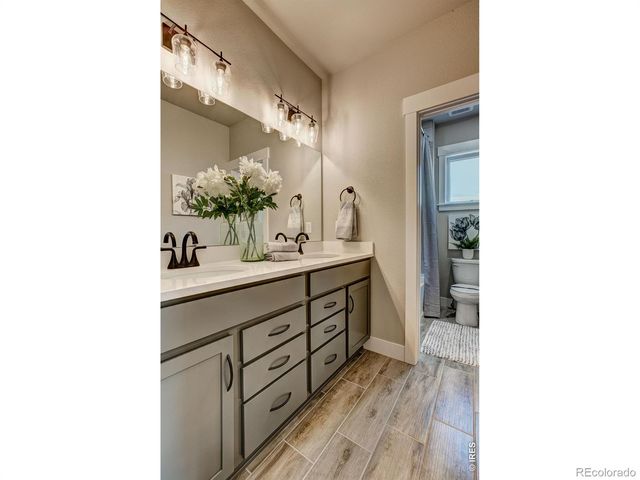 6226 Vernazza Way 4, Windsor, CO 80550
