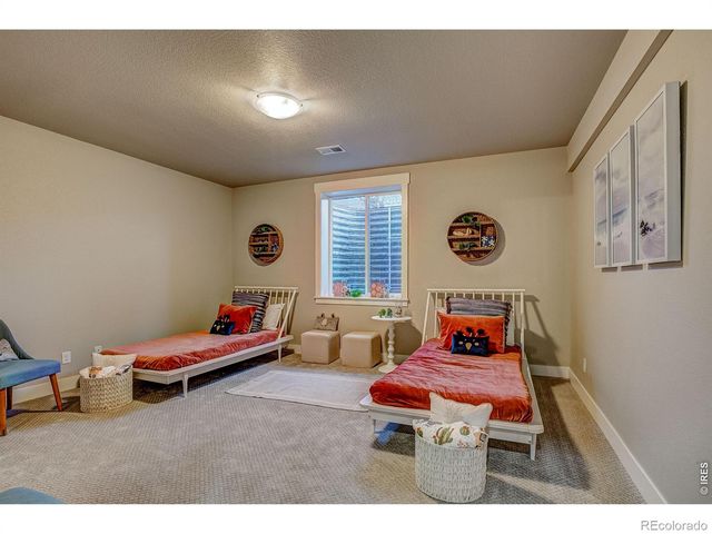 6226 Vernazza Way 4, Windsor, CO 80550