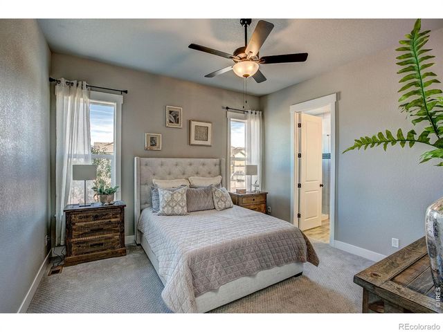 6226 Vernazza Way 4, Windsor, CO 80550