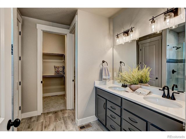 6226 Vernazza Way 4, Windsor, CO 80550