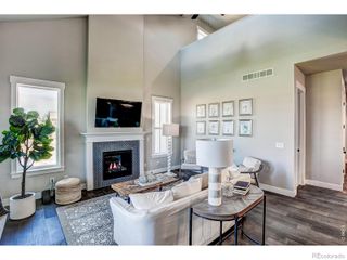 6226 Vernazza Way 4, Windsor, CO 80550