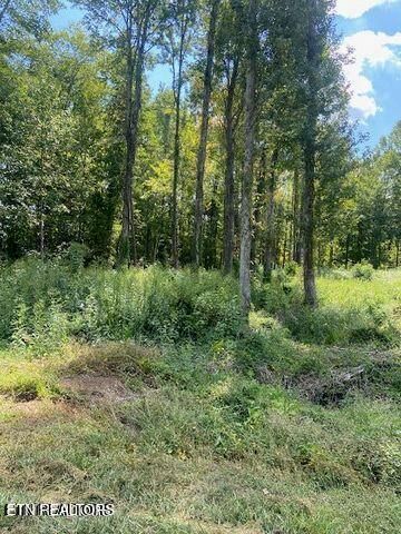00 Old Mine Road Rd, Sweetwater, TN 37874