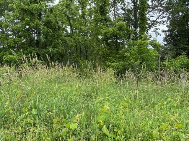 VL 56th Street Lot A, Fennville, MI 49408