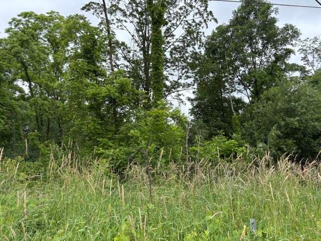 VL 56th Street Lot A, Fennville, MI 49408