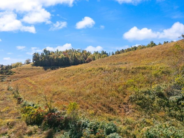 458 Opossum Hollow Road, Wellington, KY 40387