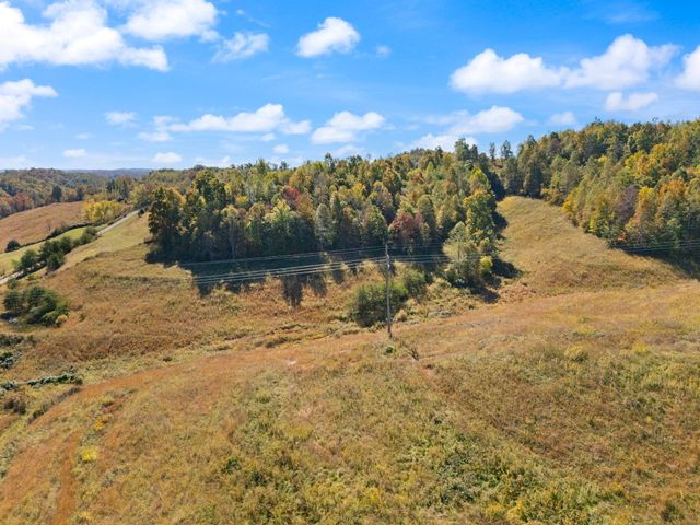 458 Opossum Hollow Road, Wellington, KY 40387