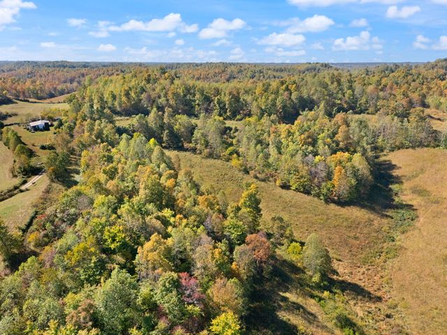 458 Opossum Hollow Road, Wellington, KY 40387