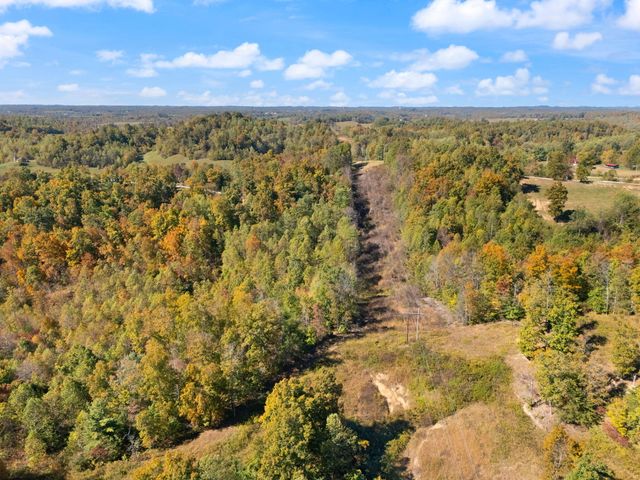 458 Opossum Hollow Road, Wellington, KY 40387