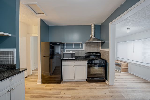 264 N Jackson Street 2, Elgin, IL 60123