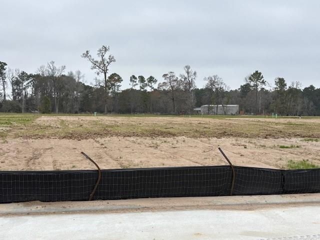 1242 Sandy Shore Lane, Iowa Colony, TX 77583