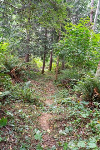 5 Meadowhills Lane, Elma, WA 98541