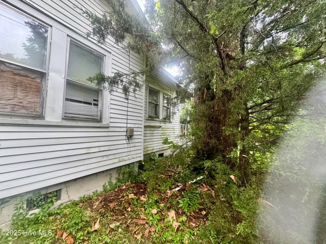 315 E Grainger Avenue, Kinston, NC 28501