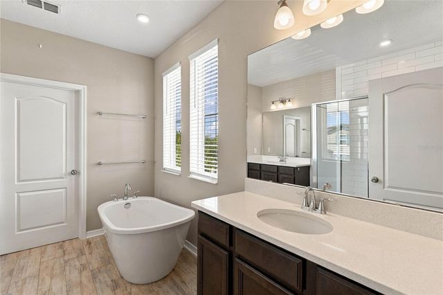 13051 SPRING GROVE WAY, Winter Garden, FL 34787