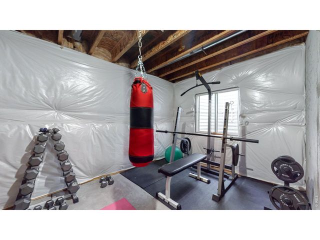 5543 Calgary St, Timnath, CO 80547
