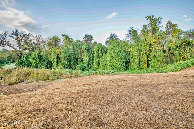 1029 Claude Rd, Knoxville, TN 37914