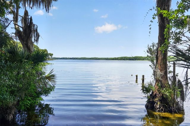 3284 GORSE COURT, Palm Harbor, FL 34684