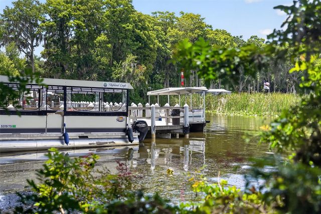 3284 GORSE COURT, Palm Harbor, FL 34684