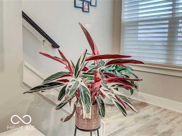 2579 Filson Street, Carmel, IN 46032