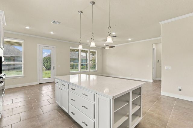 163 Chestnut Bay, Spring, TX 77382