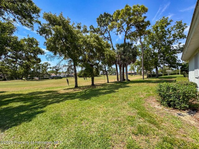 9237 Penelope Drive, Weeki Wachee, FL 34613