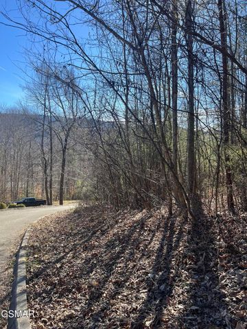 1012 Country Mountain Road, Cosby, TN 37722
