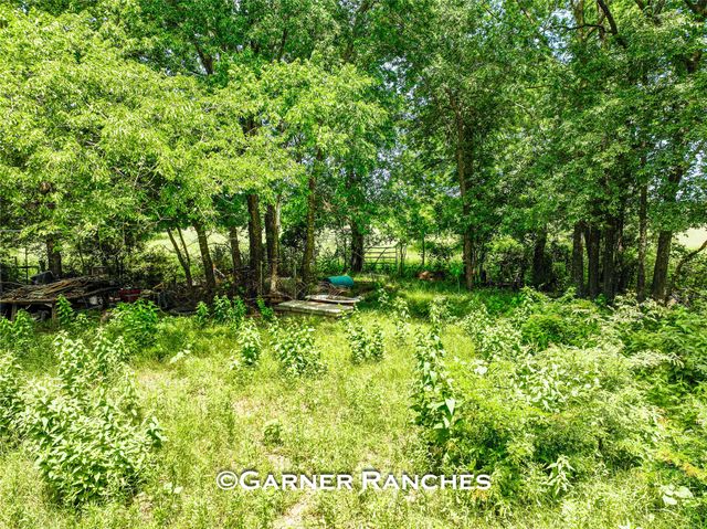 7008 Cr-1019, Wolfe City, TX 75496