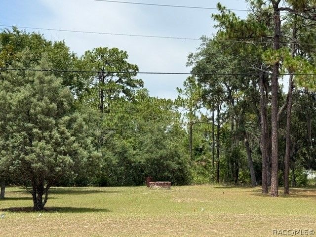 1449 W Citrus Springs Boulevard, Citrus Springs, FL 34434