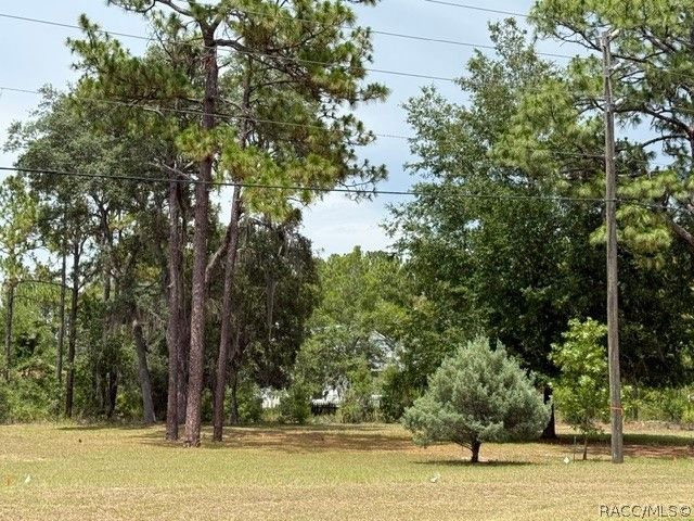 1449 W Citrus Springs Boulevard, Citrus Springs, FL 34434